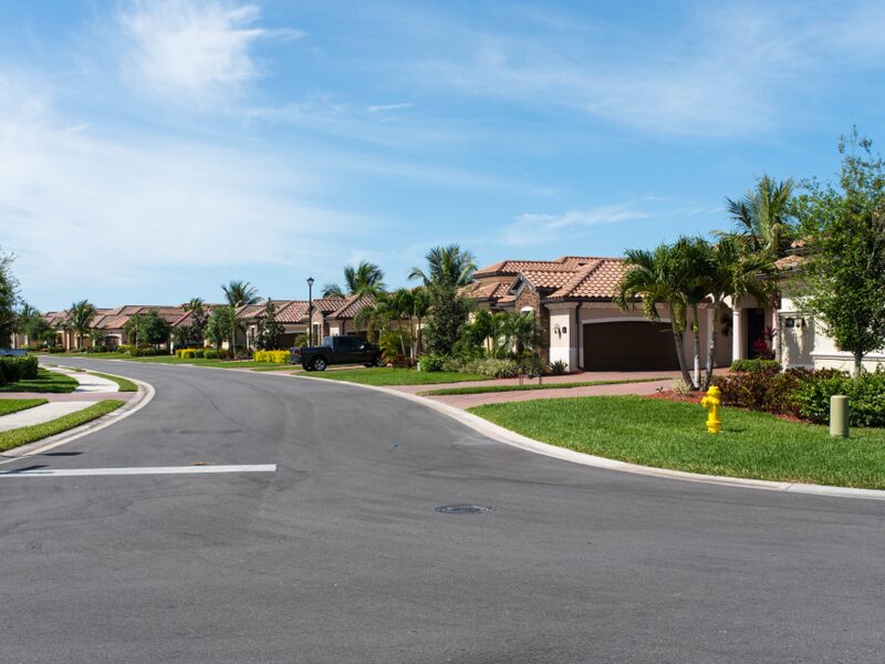 Quiet suburban street lined with single-family homes, the kind of Dallas-area neighbourhood our field teams cover door to door